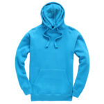 Turquoise cottonridge heavyweight hooded top