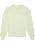 Radder Oversized Brushed Crewneck (STSU857) Stem Green