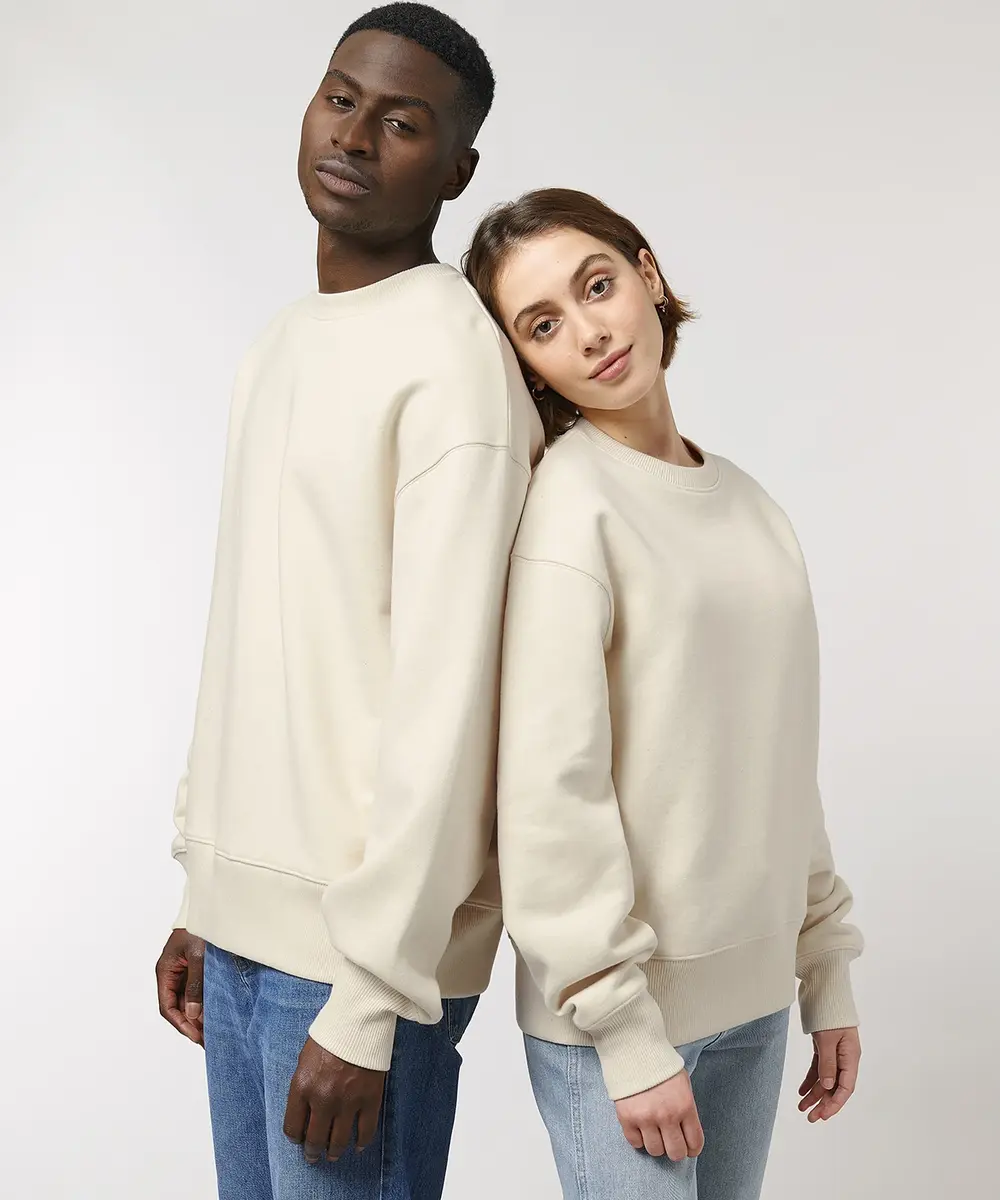 Radder Heavy Unisex Crewneck Sweatshirt (STSU866)