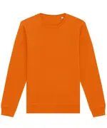 Roller Unisex Crew Neck Sweatshirt (STSU868) Bright Orange