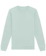 Roller Unisex Crew Neck Sweatshirt (STSU868) Caribbean Blue