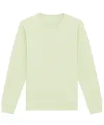 Roller Unisex Crew Neck Sweatshirt (STSU868) Stem Green