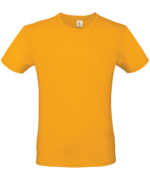 Import placeholder for BA210 Apricot