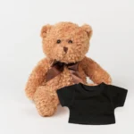 Personalised teddy bear, corporate gift, leavers gift