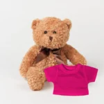 Personalised teddy bear, corporate gift, leavers gift