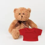 Personalised teddy bear, corporate gift, leavers gift