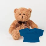 Personalised teddy bear, corporate gift, leavers gift