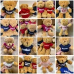 Personalised teddy bear, corporate gift, leavers gift
